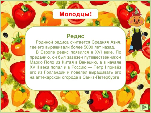 Молодцы! Редис  Родиной редиса считается Средняя Азия, где его выращивали более 5000 лет назад.  В Европе редис появился в XVI веке. По преданию, он был завезен путешественником Марко Поло из Китая в Венецию, а в начале XVIII века попал и в Россию — Петр I привёз его из Голландии и повелел выращивать его на аптекарском огороде в Санкт-Петербурге 