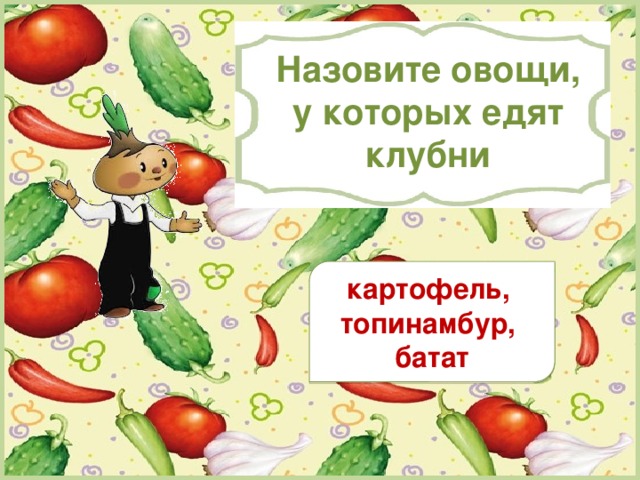 Правила разгадывания кроссворда Нажмите на цифру, обозначающую номер задания. Ответьте устно, затем проверьте правильность ответа, нажав на цифру, обозначающую номер задания. Перейдите к выполнению следующего задания. Выбор заданий по порядку номеров. 31