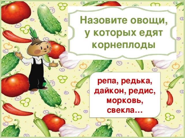 Огородный продукт к столу кроссворд