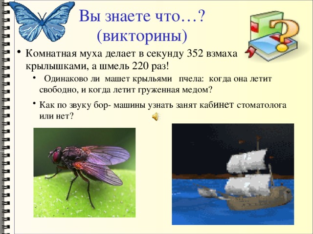 Сколько взмахов в секунду. Частота взмахов крыльев мухи. Сколько взмахов в секунду делает пчела крыльями. Сколько взмахов в секунду делает Муха. Частота взмахов крыльев насекомых.