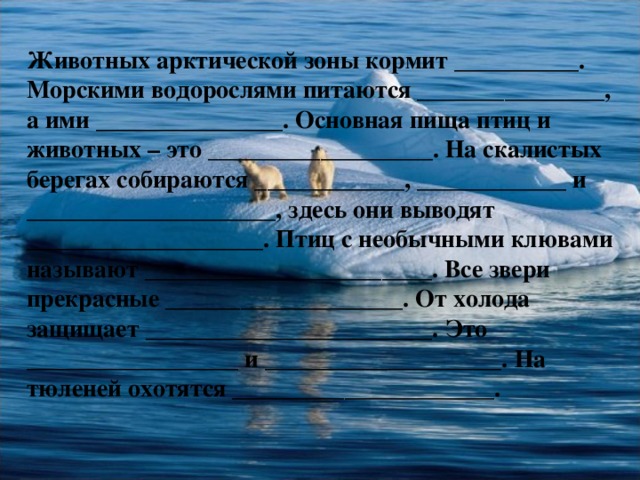 Животных арктической зоны кормит __________. Морскими водорослями питаются _______________, а ими _______________. Основная пища птиц и животных – это __________________. На скалистых берегах собираются ____________, ____________ и ____________________, здесь они выводят ___________________. Птиц с необычными клювами называют _______________________. Все звери прекрасные ___________________. От холода защищает _______________________. Это _________________ и ___________________. На тюленей охотятся _____________________. 