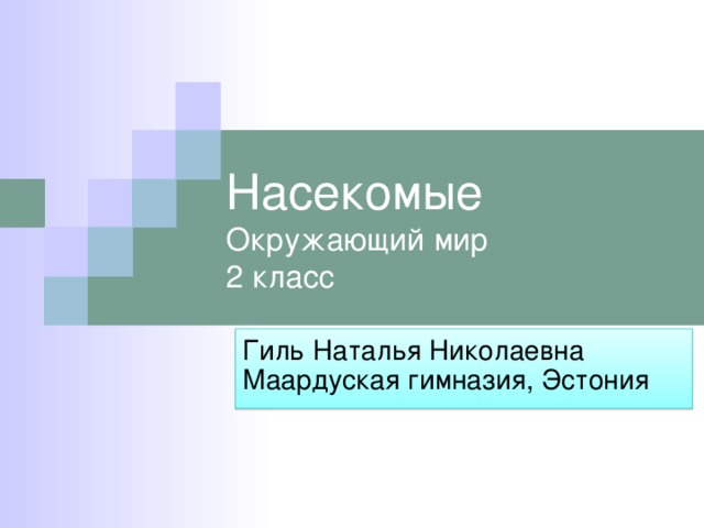 Насекомые  Окружающий мир  2 класс Гиль Наталья Николаевна Маардуская гимназия, Эстония 