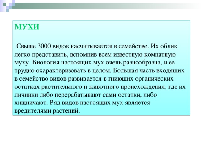 МУХИ   Свыше 3000 видов насчитывается в семействе. Их облик легко представить, вспомнив всем известную комнатную муху. Биология настоящих мух очень разнообразна, и ее трудно охарактеризовать в целом. Большая часть входящих в семейство видов развивается в гниющих органических остатках растительного и животного происхождения, где их личинки либо перерабатывают сами остатки, либо хищничают. Ряд видов настоящих мух является вредителями растений.  