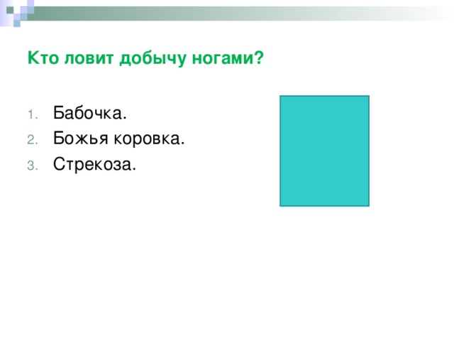 Кто ловит добычу ногами? Бабочка. Божья коровка. Стрекоза.  