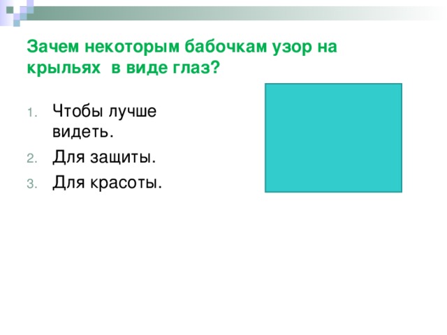 Зачем некоторым бабочкам узор на крыльях  в виде глаз? Чтобы лучше видеть. Для защиты. Для красоты. 