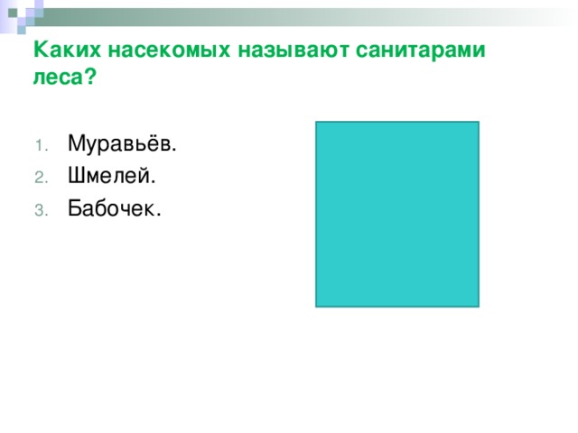 Каких насекомых называют санитарами леса?   Муравьёв. Шмелей. Бабочек. 