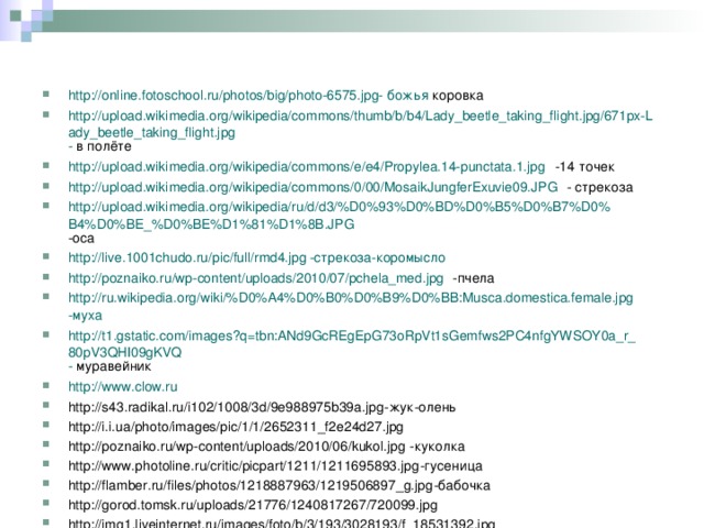 http://online.fotoschool.ru/photos/big/photo-6575.jpg- божья коровка http://upload.wikimedia.org/wikipedia/commons/thumb/b/b4/Lady_beetle_taking_flight.jpg/671px-Lady_beetle_taking_flight.jpg - в полёте http://upload.wikimedia.org/wikipedia/commons/e/e4/Propylea.14-punctata.1.jpg -14 точек http://upload.wikimedia.org/wikipedia/commons/0/00/MosaikJungferExuvie09.JPG - стрекоза http://upload.wikimedia.org/wikipedia/ru/d/d3/%D0%93%D0%BD%D0%B5%D0%B7%D0%B4%D0%BE_%D0%BE%D1%81%D1%8B.JPG -оса http://live.1001chudo.ru/pic/full/rmd4.jpg -стрекоза-коромысло http://poznaiko.ru/wp-content/uploads/2010/07/pchela_med.jpg -пчела http://ru.wikipedia.org/wiki/%D0%A4%D0%B0%D0%B9%D0%BB:Musca.domestica.female.jpg -муха http://t1.gstatic.com/images?q=tbn:ANd9GcREgEpG73oRpVt1sGemfws2PC4nfgYWSOY0a_r_80pV3QHI09gKVQ - муравейник http://www.clow.ru http://s43.radikal.ru/i102/1008/3d/9e988975b39a.jpg -жук-олень http://i.i.ua/photo/images/pic/1/1/2652311_f2e24d27.jpg http://poznaiko.ru/wp-content/uploads/2010/06/kukol.jpg -куколка http://www.photoline.ru/critic/picpart/1211/1211695893.jpg -гусеница http://flamber.ru/files/photos/1218887963/1219506897_g.jpg -бабочка http://gorod.tomsk.ru/uploads/21776/1240817267/720099.jpg http://img1.liveinternet.ru/images/foto/b/3/193/3028193/f_18531392.jpg   