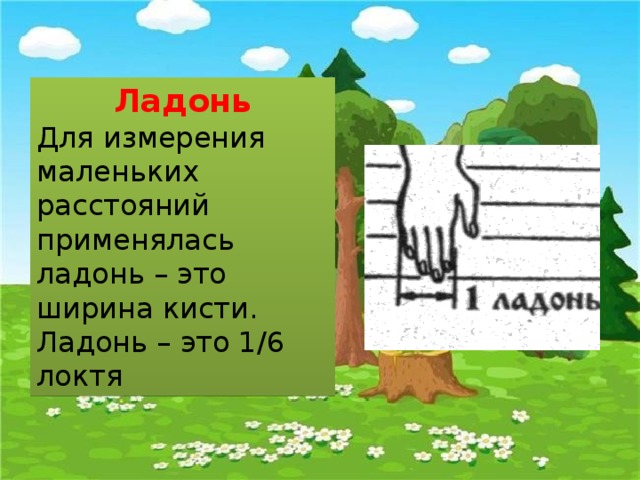 Ладонь Для измерения маленьких расстояний применялась ладонь – это ширина кисти. Ладонь – это 1/6 локтя 