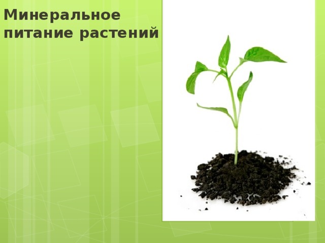 Минеральное питание растений 