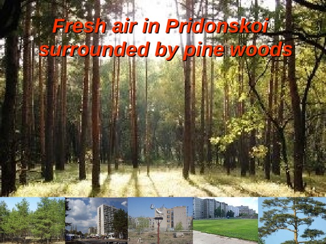 Fresh air  in Pridonskoi  surrounded  by pine woods 