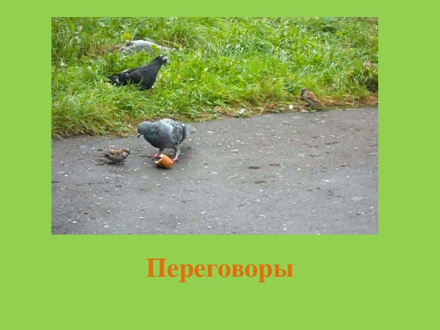Переговоры 