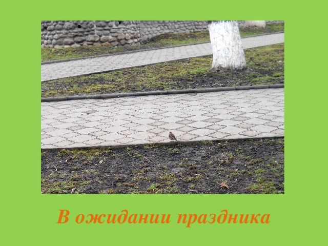 В ожидании праздника 