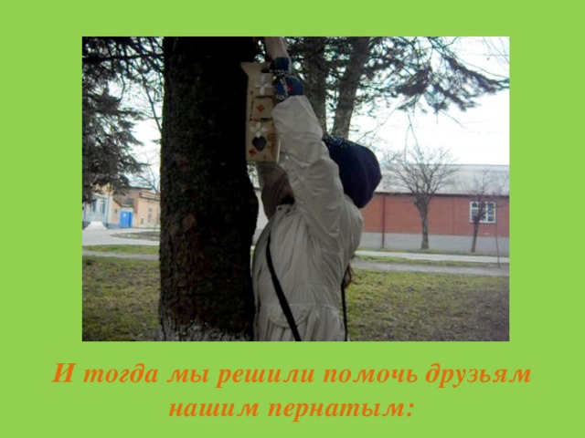 И тогда мы решили помочь друзьям нашим пернатым: 