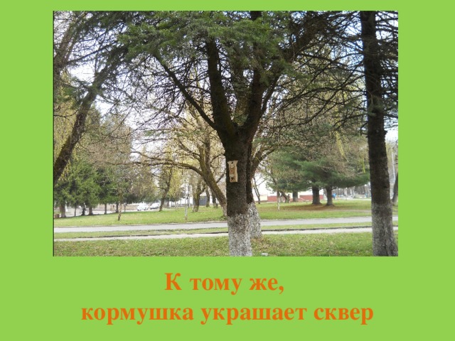 К тому же,  кормушка украшает сквер 