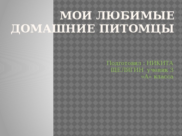 МОИ ЛЮБИМЫЕ ДОМАШНИЕ ПИТОМЦЫ Подготовил : НИКИТА ЩЕЛЯГИН ученик 3 «А» класса 