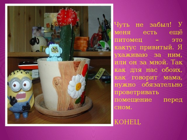 Чуть не забыл! У меня есть ещё питомец – это кактус привитый. Я ухаживаю за ним, или он за мной. Так как для нас обоих, как говорит мама, нужно обязательно проветривать помещение перед сном. КОНЕЦ. 
