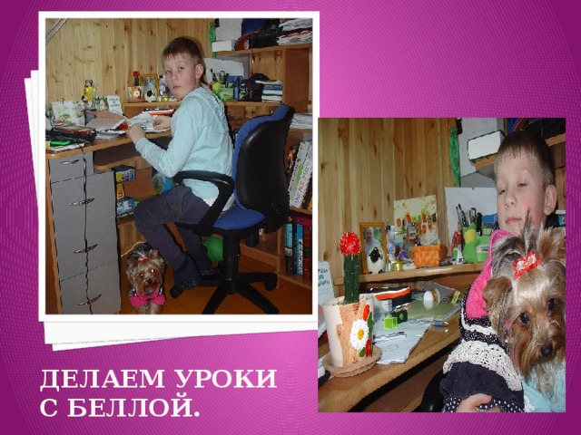 ДеЛАЕМ УРОКИ С БЕЛЛОЙ. 