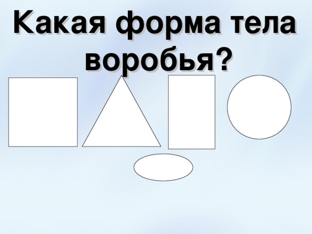 Какая форма тела воробья? 