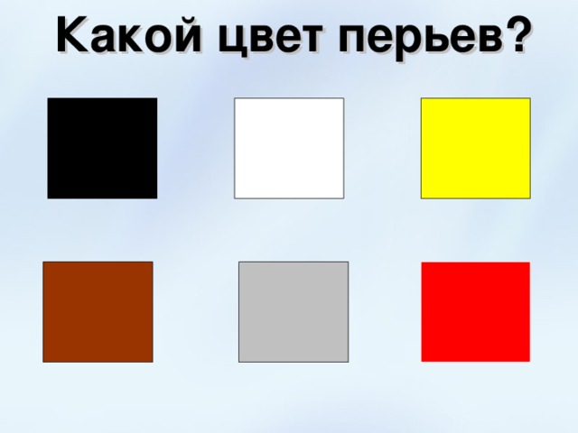 Какой цвет перьев? 