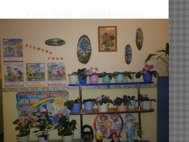 Уголок природы 