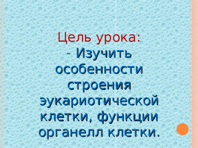 Цель урока:  - Изучить особенности строения эукариотической клетки, функции органелл клетки. 