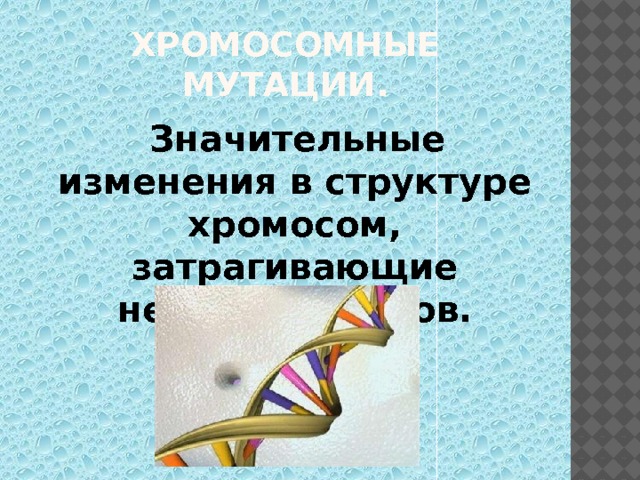 Хромосомные мутации.  Значительные изменения в структуре хромосом, затрагивающие несколько генов. 