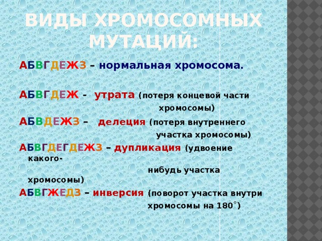 Виды хромосомных мутаций: А Б В Г Д Е Ж З – нормальная хромосома.  А Б В Г Д Е Ж - утрата  (потеря концевой части  хромосомы) А Б В Д Е Ж З – делеция  (потеря внутреннего  участка хромосомы) А Б В Г Д Е Г Д Е Ж З – дупликация  (удвоение какого-  нибудь участка хромосомы) А Б В Г Ж Е Д З – инверсия  (поворот участка внутри  хромосомы на 180˚)  