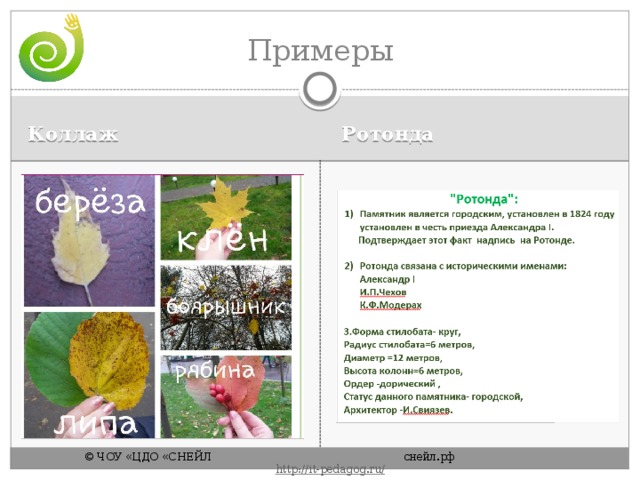 Примеры Коллаж Ротонда © ЧОУ «ЦДО «СНЕЙЛ       снейл.рф       http :// it - pedagog . ru / 