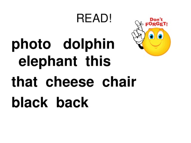 READ! photo dolphin elephant this that cheese chair black back  