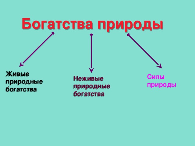 Богатства природы Живые природные богатства Силы природы Неживые природные богатства 