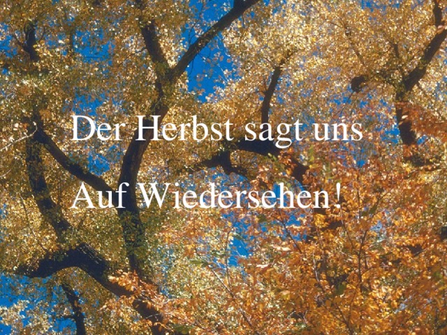 Der Herbst sagt uns Auf Wiedersehen ! 