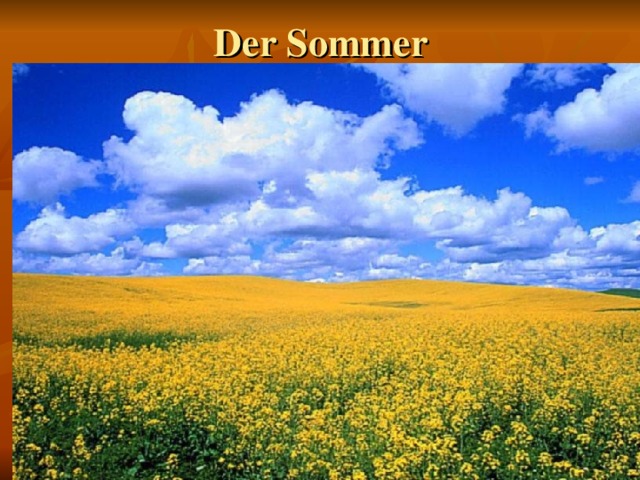 Der Sommer 