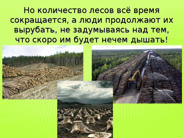 Но количество лесов всё время сокращается, а люди продолжают их вырубать, не задумываясь над тем, что скоро им будет нечем дышать! 