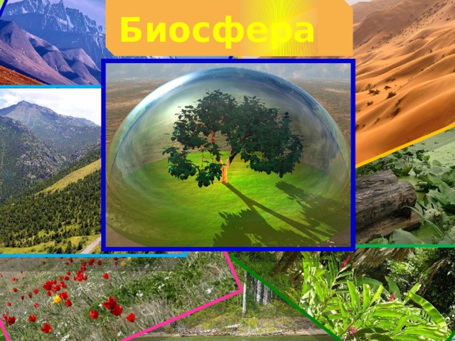 Биосфера  