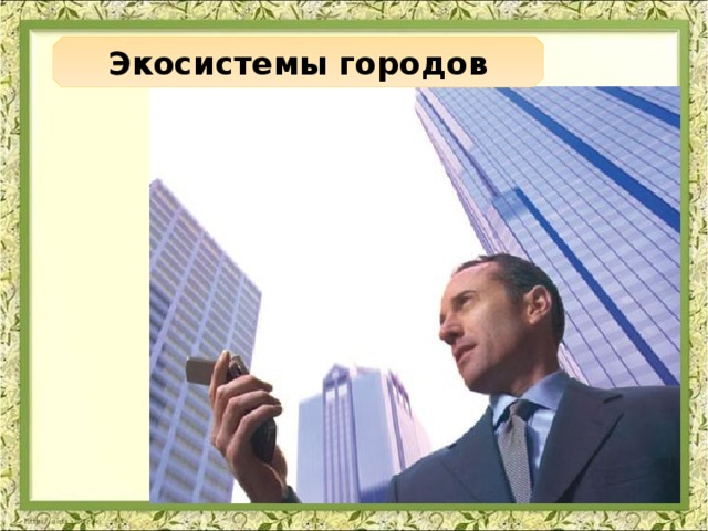 Экосистемы городов 