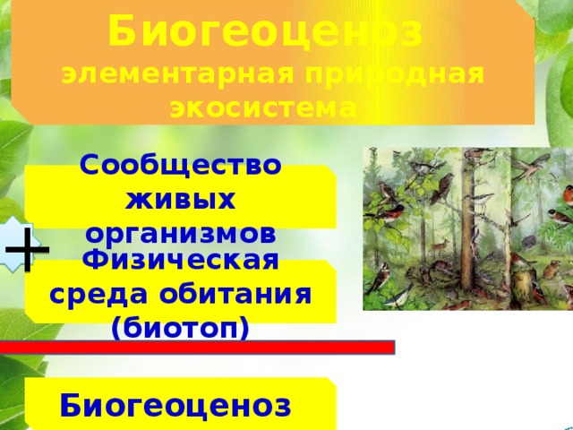 История формирования природных сообществ живых организмов 9 класс презентация