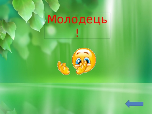 Молодець! 