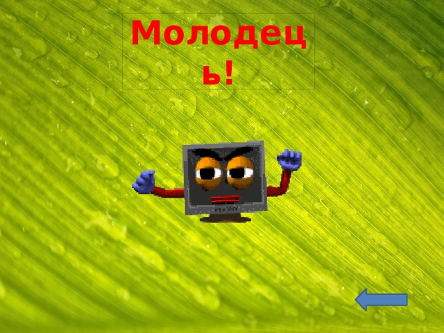 Молодець! 