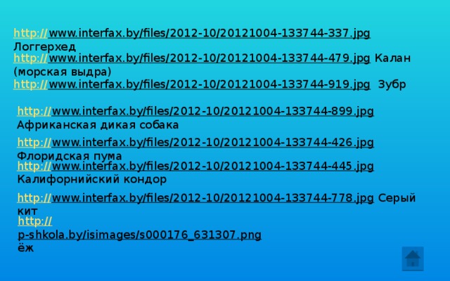 http:// www.interfax.by/files/2012-10/20121004-133744-337.jpg  Логгерхед http:// www.interfax.by/files/2012-10/20121004-133744-479.jpg  Калан (морская выдра)    http:// www.interfax.by/files/2012-10/20121004-133744-919.jpg  Зубр http:// www.interfax.by/files/2012-10/20121004-133744-899.jpg  Африканская дикая собака http:// www.interfax.by/files/2012-10/20121004-133744-426.jpg  Флоридская пума http:// www.interfax.by/files/2012-10/20121004-133744-445.jpg  Калифорнийский кондор http:// www.interfax.by/files/2012-10/20121004-133744-778.jpg  Серый кит http:// p-shkola.by/isimages/s000176_631307.png  ёж 
