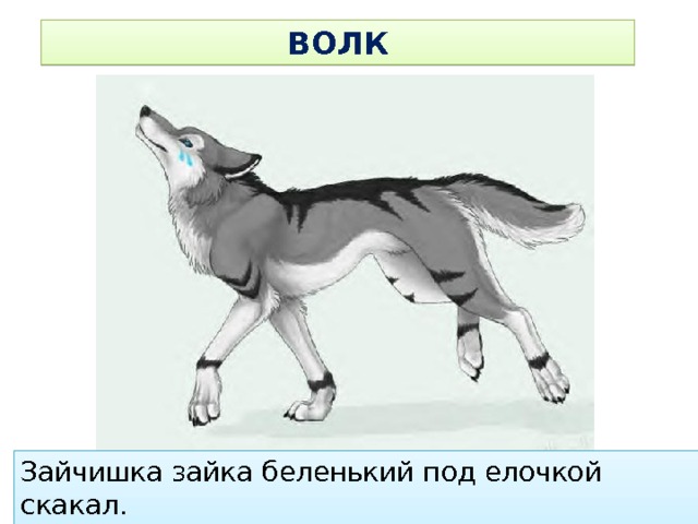 ВОЛК Зайчишка зайка беленький под елочкой скакал. Порою волк, сердитый волк, рысцою пробегал. 