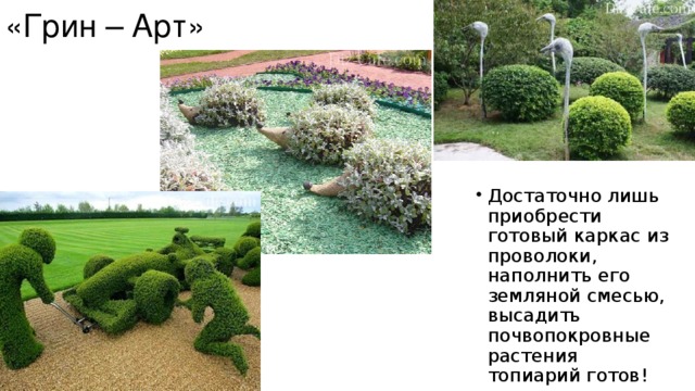 «Грин – Арт» Достаточно лишь приобрести готовый каркас из проволоки, наполнить его земляной смесью, высадить почвопокровные растения топиарий готов! 