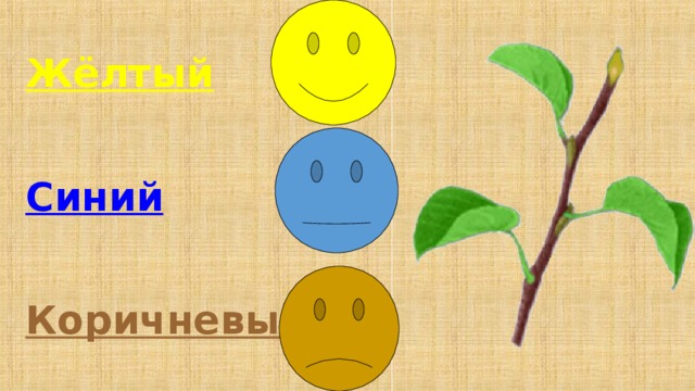  Жёлтый  Синий  Коричневый 
