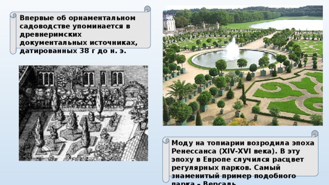 Впервые об орнаментальном садоводстве упоминается в древнеримских документальных источниках, датированных 38 г до н. э. Моду на топиарии возродила эпоха Ренессанса (XIV-XVI века). В эту эпоху в Европе случился расцвет регулярных парков. Самый знаменитый пример подобного парка – Версаль.  