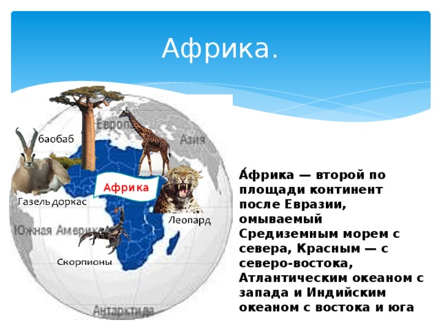 Африка. А́фрика — второй по площади континент после Евразии, омываемый Средиземным морем с севера, Красным — с северо-востока, Атлантическим океаном с запада и Индийским океаном с востока и юга Африка 