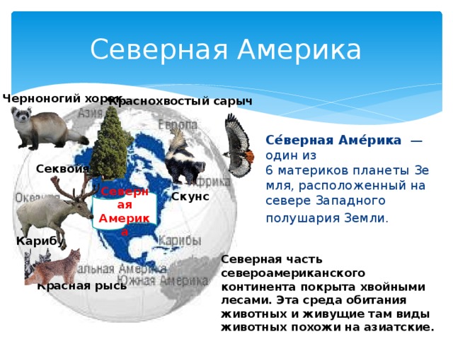 Презентация северная америка 2 класс