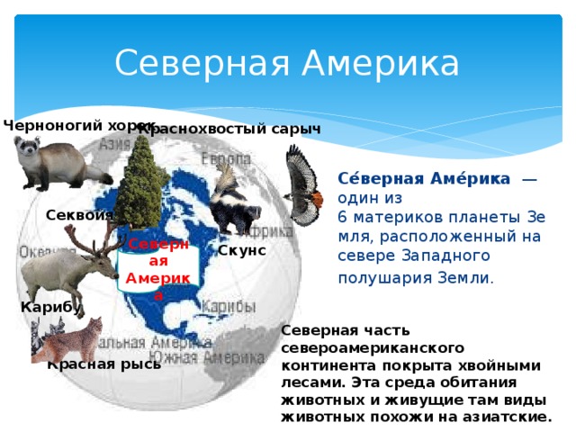 Тест по теме северные материки северная америка