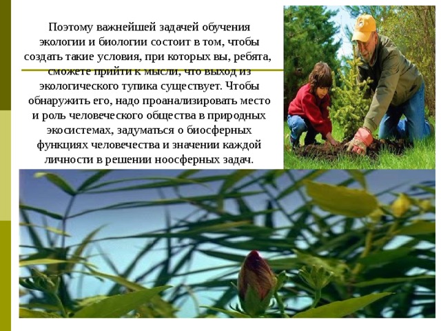 Презентация чему учит экология