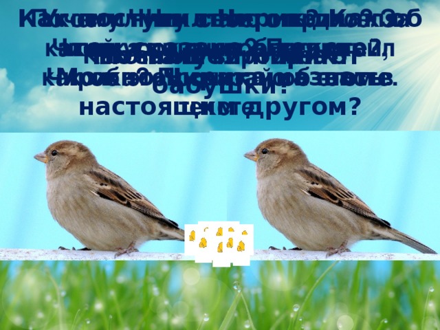 Как поступил Чирик? Как об этом сказано в тексте? Можно Чирика назвать настоящим другом? Угостил Чик своего приятеля Чирика пшеном? Прочитай, как об этом сказано в тексте. Почему Чику стало стыдно? За какой урок он поблагодарил Чирика? Прочитай об этом в тексте. Как звали воробьёв? Что получил Чик от бабушки? Что нашёл Чирик?