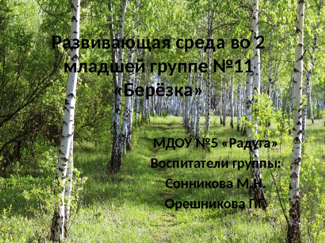 Развивающая среда во 2 младшей группе №11 «Берёзка» МДОУ №5 «Радуга» Воспитатели группы: Сонникова М.Н. Орешникова Г.Г.  