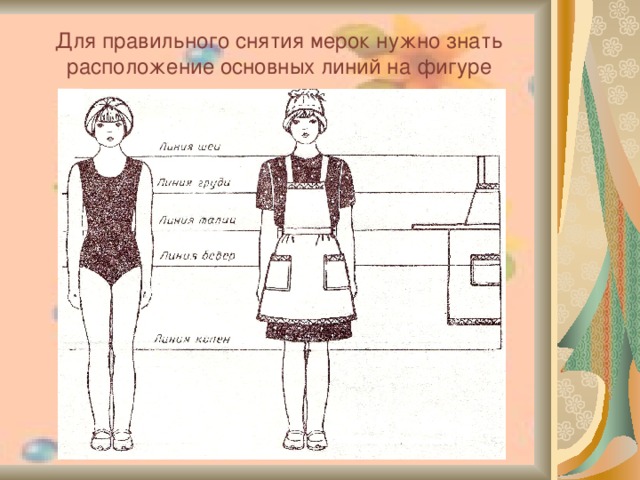 Для правильного снятия мерок нужно знать расположение основных линий на фигуре  